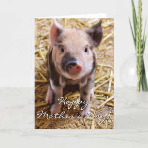 Tarjeta de felicitación feliz del cochinillo del