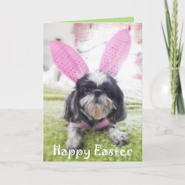 Tarjeta de felicitación feliz del conejito de (Anverso)