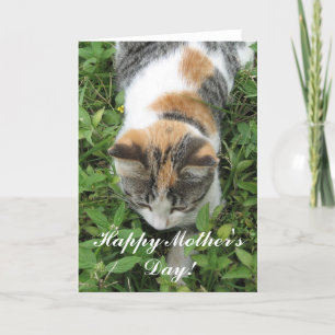 Tarjeta de felicitación feliz del gato de calicó