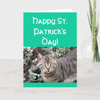 Tarjeta de felicitación feliz del gato del día del