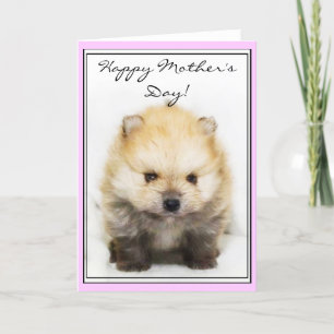 Tarjeta de felicitación feliz del perrito de