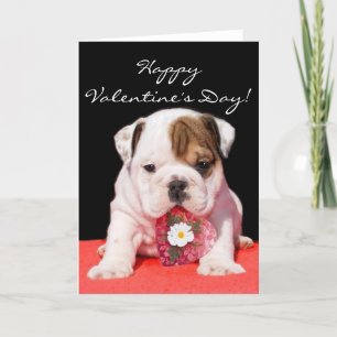 Tarjeta de felicitación feliz del perrito del