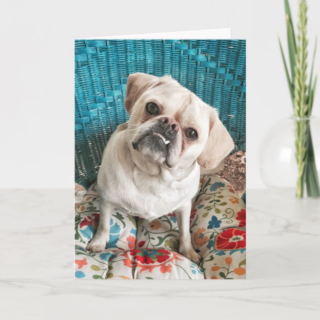 Tarjeta de felicitación feliz del perro (Anverso)