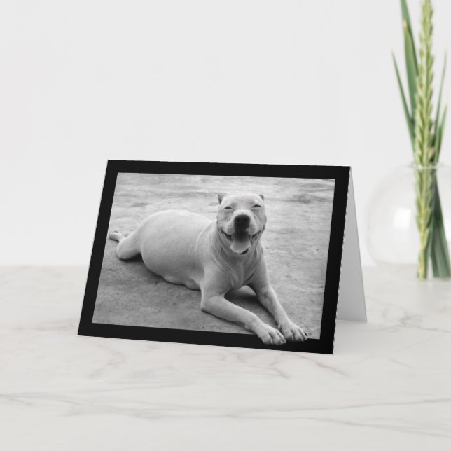 Tarjeta de felicitación feliz del pitbull (Anverso)