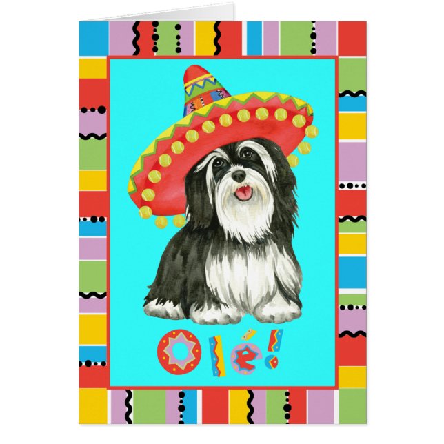 Tarjeta de felicitación Fiesta Havanese (Frente)