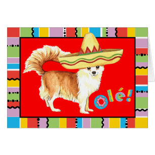 Tarjeta de felicitación Fiesta Long Coat Chihuahua