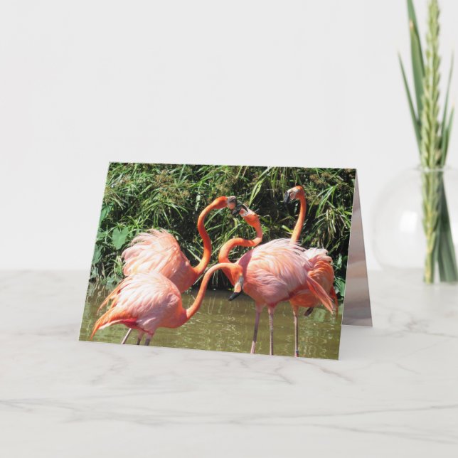 Tarjeta de felicitación Flamingo Fiesta (Anverso)