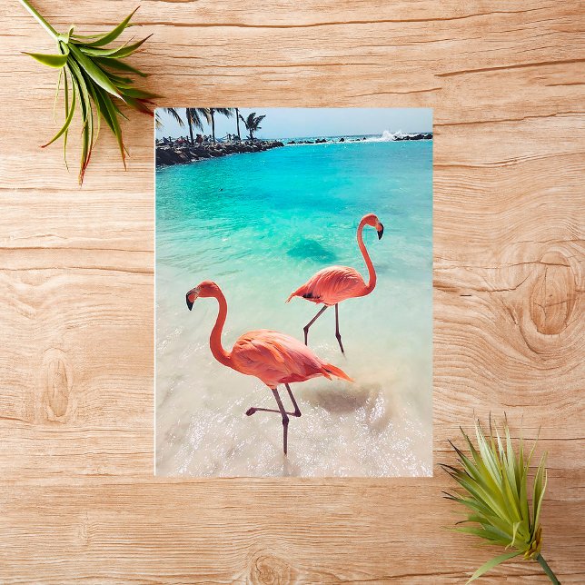 Tarjeta de felicitación Flamingos (Subido por el creador)