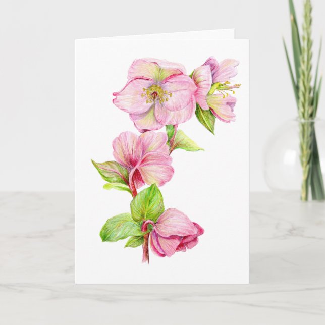 Tarjeta de Felicitación - Flor de Hellebore Rosa (Anverso)
