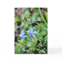 Tarjeta de felicitación floral azul con poema en e