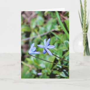 Tarjeta de felicitación floral azul con poema en e