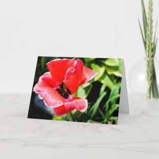 Tarjeta de felicitación floral te amo