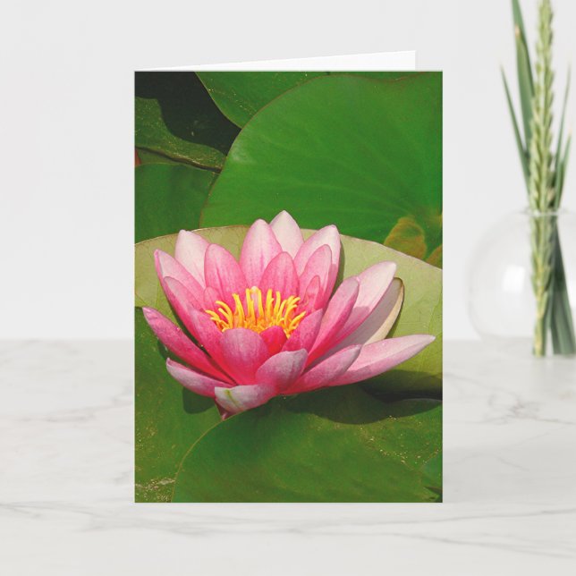 Tarjeta de felicitación, "FLORES DE LOTUS ROSA" (Anverso)