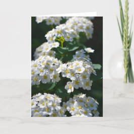 Tarjeta de felicitación Flower Blank