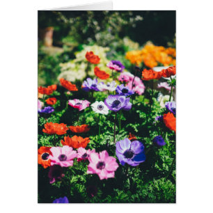 Tarjeta de felicitación Flower Garden