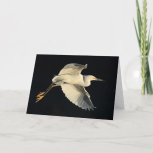 Tarjeta de felicitación - flyby del egret nevado