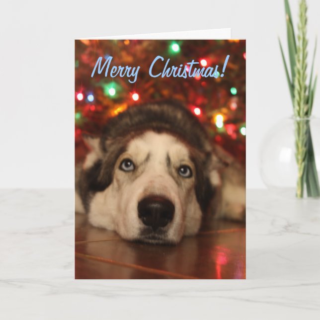 Tarjeta de felicitación fornida del navidad (Anverso)