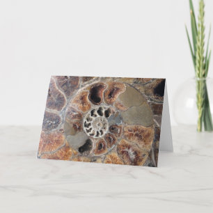 Tarjeta de felicitación Fossil Blank de Spiral She