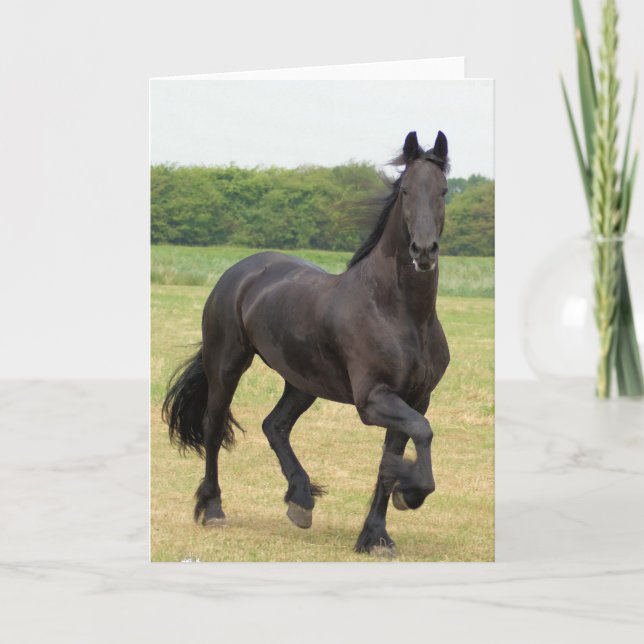 Tarjeta de felicitación frisia del caballo (Anverso)