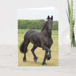 Tarjeta de felicitación frisia del caballo