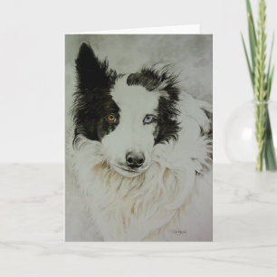 Tarjeta de felicitación Fronteriza Collie/Aussie