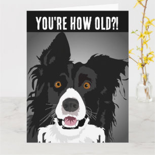 Tarjeta de felicitación FUNNY DOG BIRTHDAY