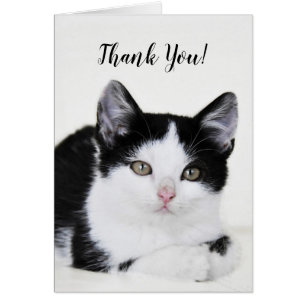 Tarjeta de Felicitación Gatito Pensativo Blanco y