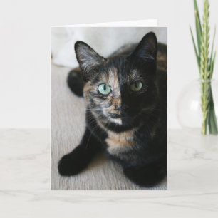 Tarjeta de felicitación: Gato de la moca