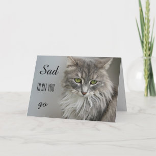 Tarjeta de felicitación Gato Gris Sympathy