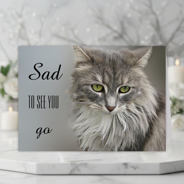 Tarjeta de felicitación Gato Gris Sympathy (A beautiful cat sympathy card to express your compassion for the loss of a sweet kitty)