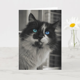 Tarjeta de felicitación Gato Negro Ojos Azules Alm