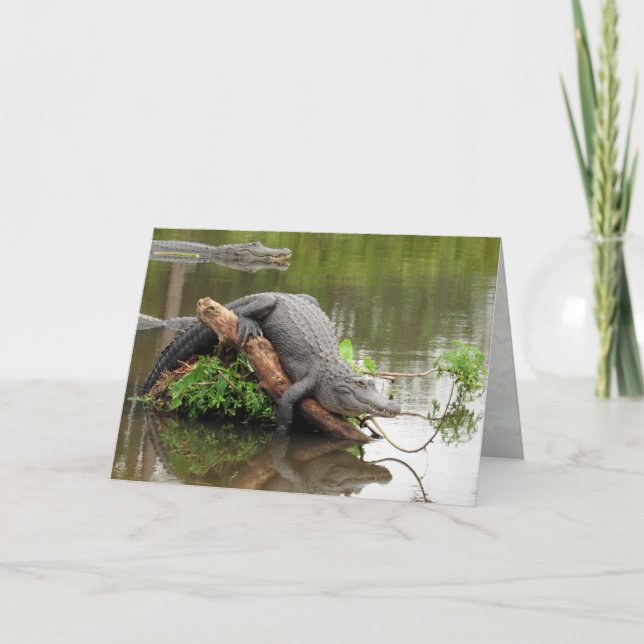 Tarjeta de felicitación Gator 0076 (Anverso)