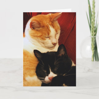 Tarjeta de felicitación: Gatos del sueño dulce