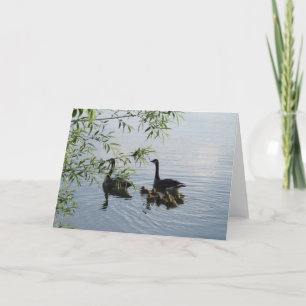 Tarjeta de felicitación Geese Wild