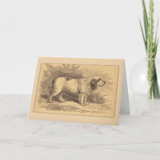 Tarjeta de felicitación general del perro de aguas