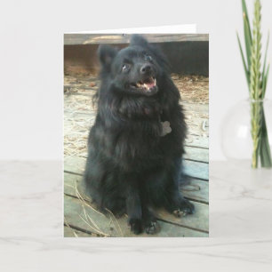 Tarjeta de felicitación general del perro del