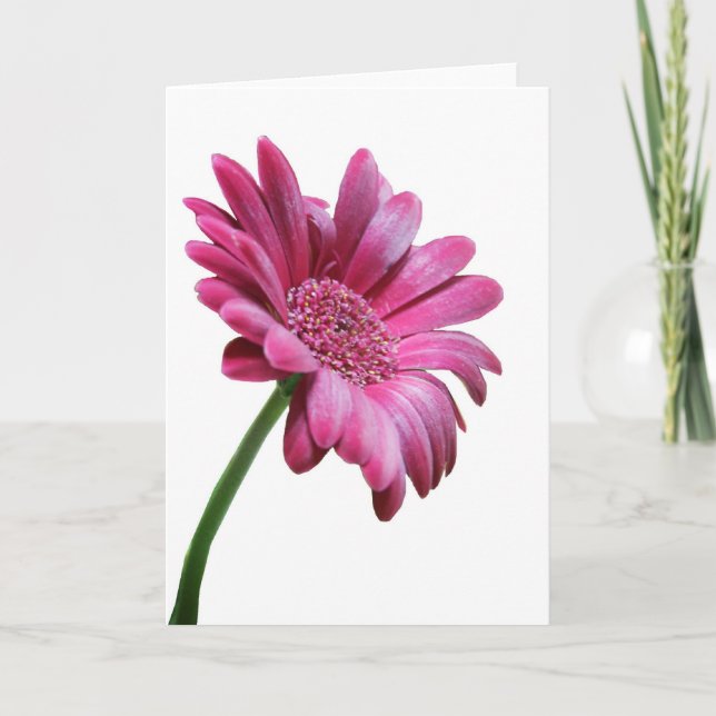 Tarjeta de felicitación Gerbera Daisy (Anverso)