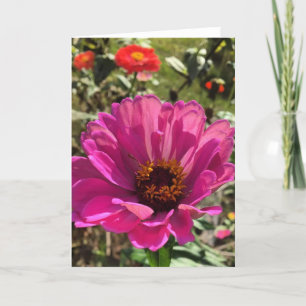 tarjeta de felicitación gerbera (en blanco dentro)