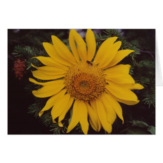 Tarjeta de felicitación Giant Sunflower Bee Green 