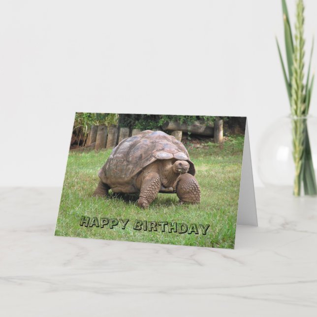 Tarjeta de felicitación Gigante Tortoise (Anverso)
