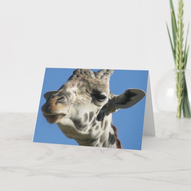 Tarjeta de felicitación Giraffe (Anverso)