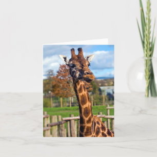 Tarjeta de felicitación Giraffe