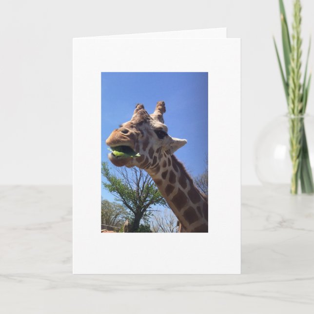 Tarjeta de felicitación Giraffe (Anverso)