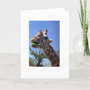 Tarjeta de felicitación Giraffe