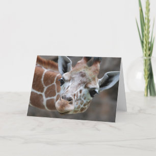 Tarjeta de felicitación Giraffe