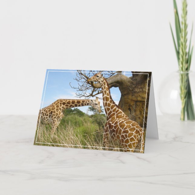 Tarjeta de felicitación Giraffes (Anverso)