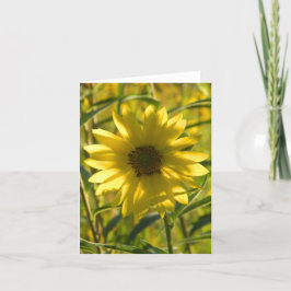 Tarjeta de felicitación Glow para el girasol