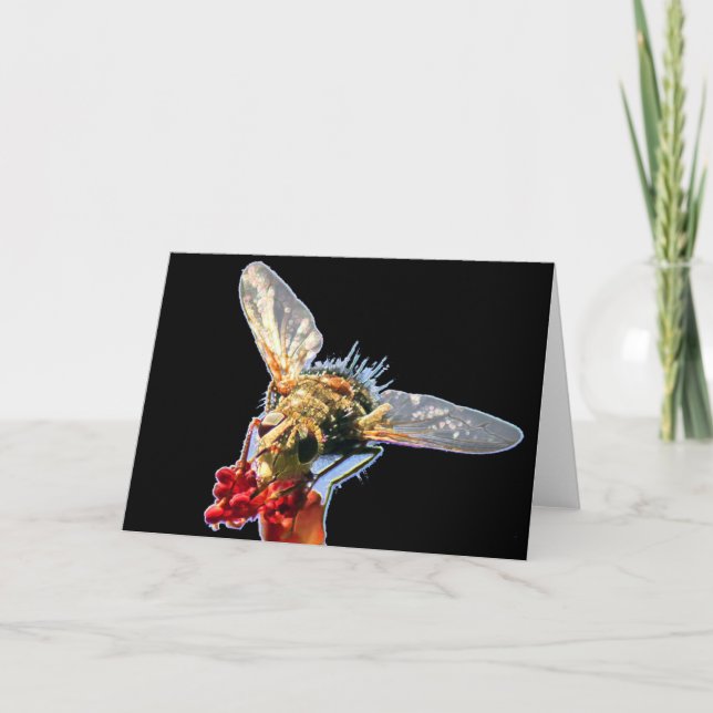 Tarjeta de felicitación Golden Bee Blank (Anverso)