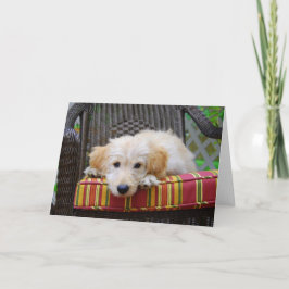 Tarjeta de felicitación Golden Doodle Puppy