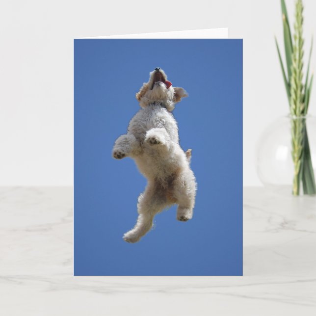 Tarjeta de felicitación Goldendoodle Jumping (Anverso)
